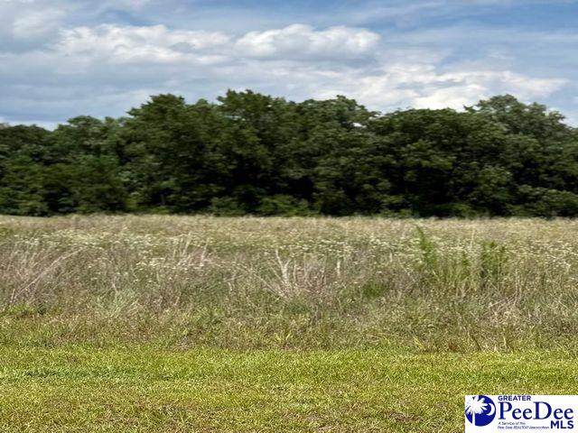Lot 22 Govrnor's Run - Photo 1
