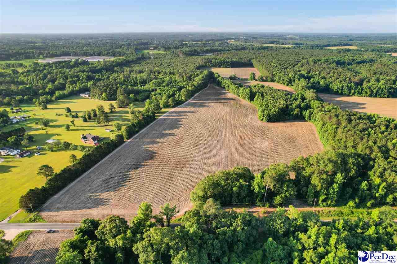 Lot 2 TBD Windham Town Rd - Photo 1