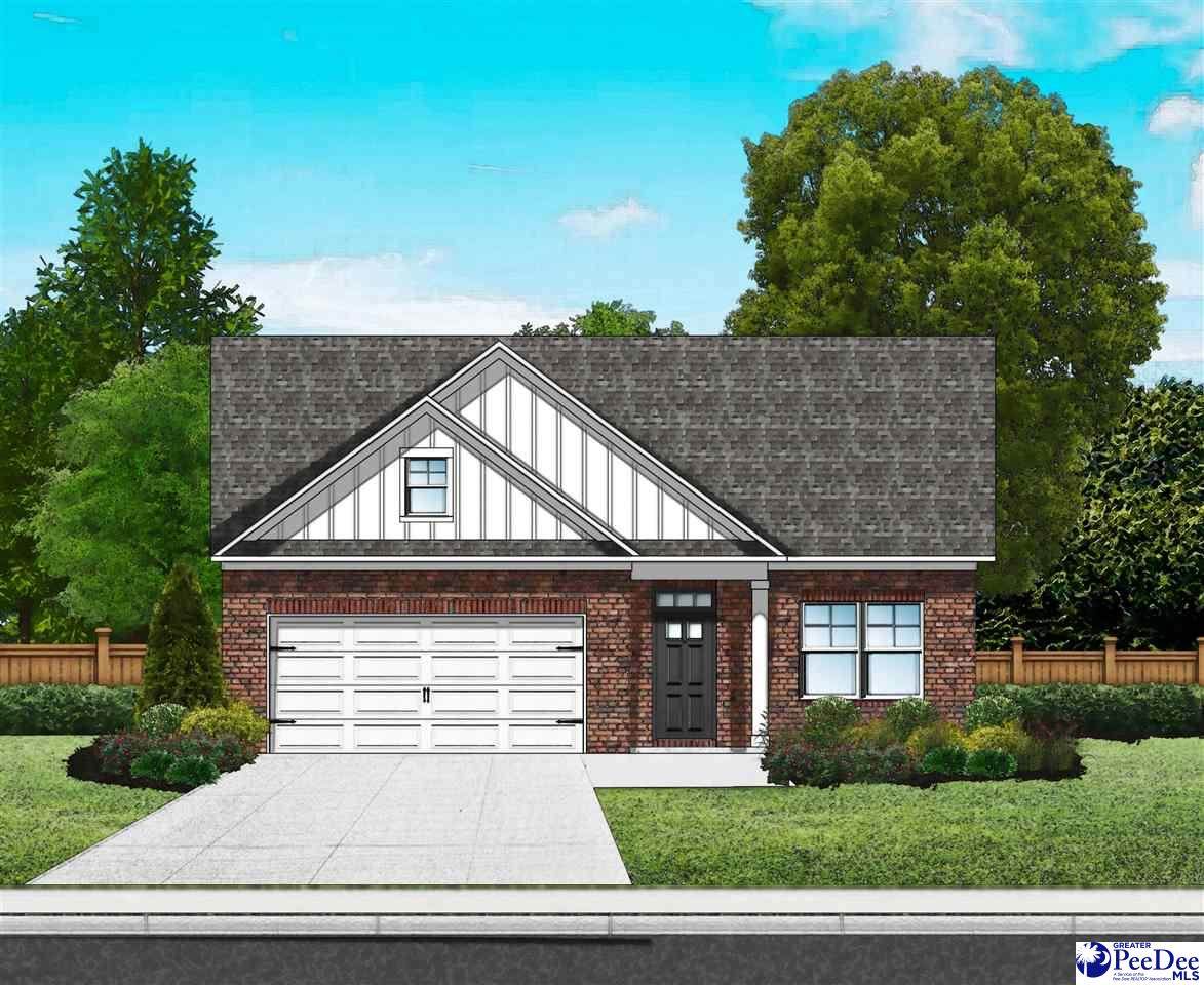 1159 Summer Duck Loop (Lot 54) - Photo 1