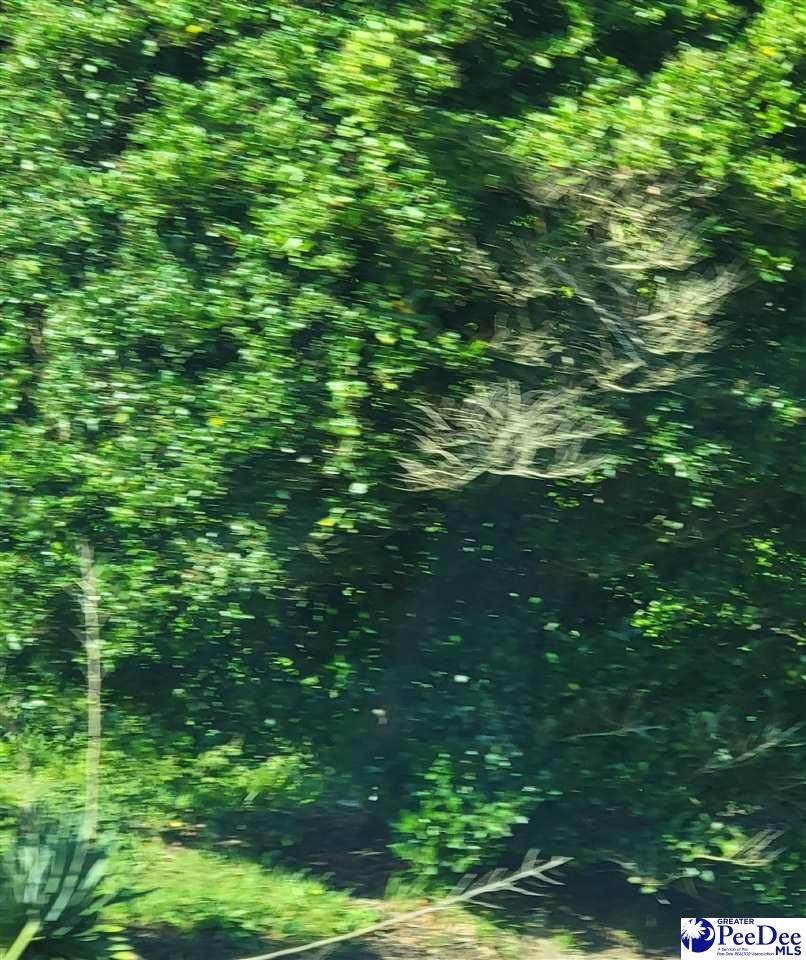 TBD Lot 6A Highway 9 - Photo 1