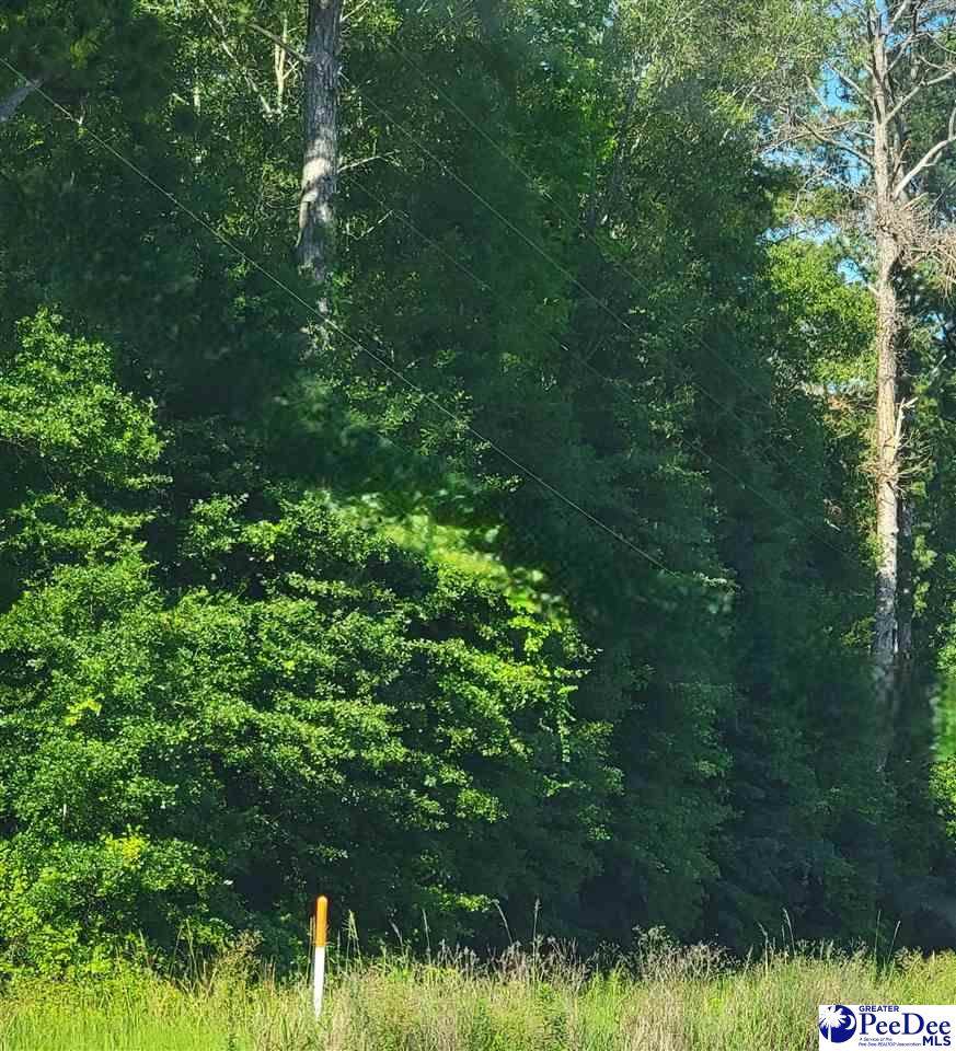 TBD Lot 1B Hwy 9 - Photo 1