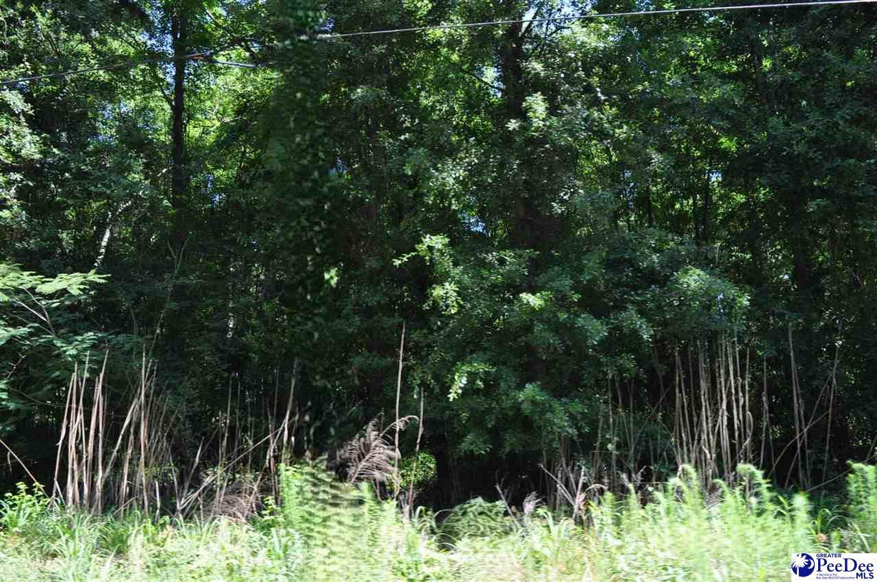 TBD Lot 3E Branchwood Rd - Photo 1