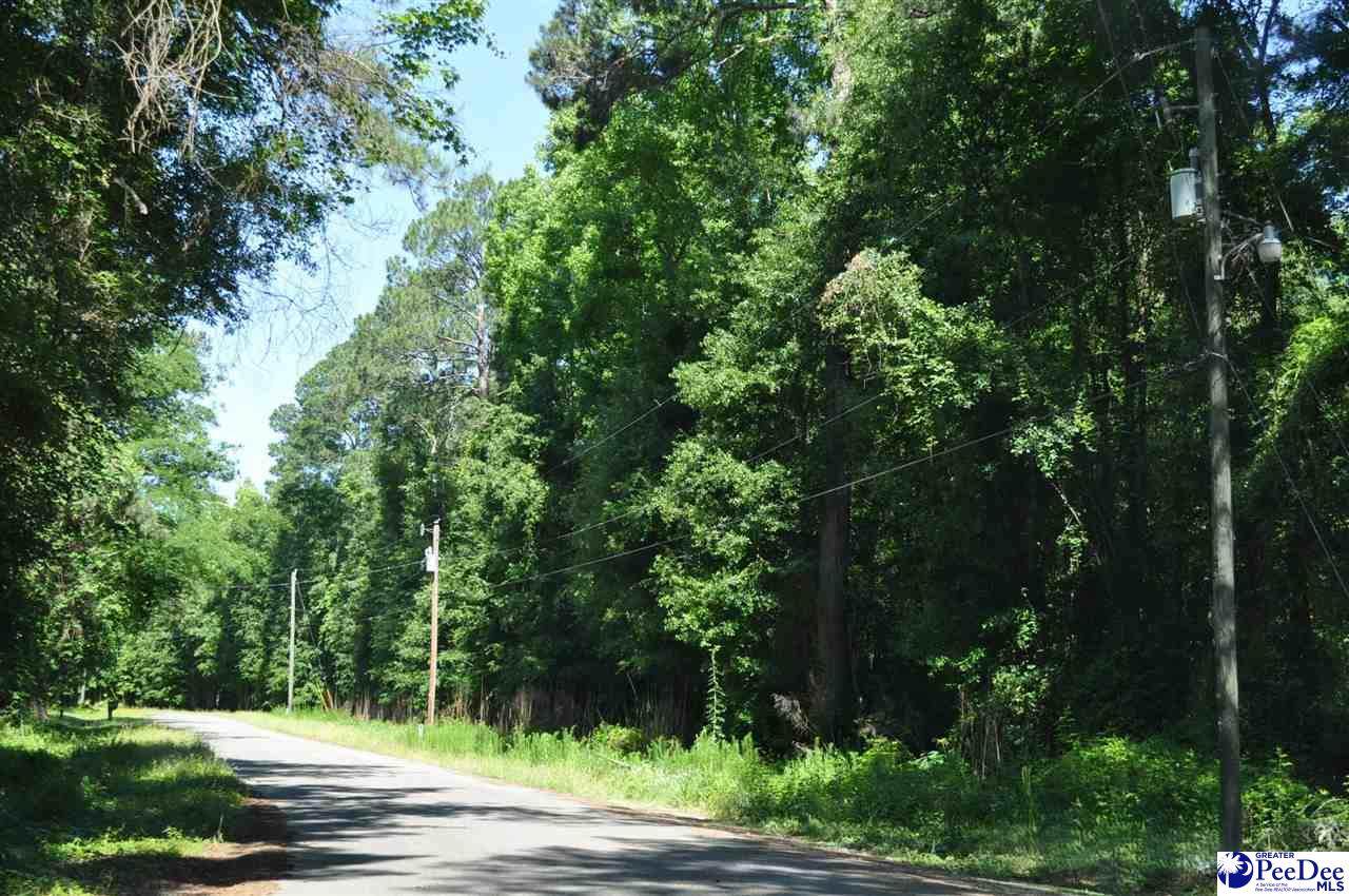 TBD Lots 3H&J Branchwood Road - Photo 1