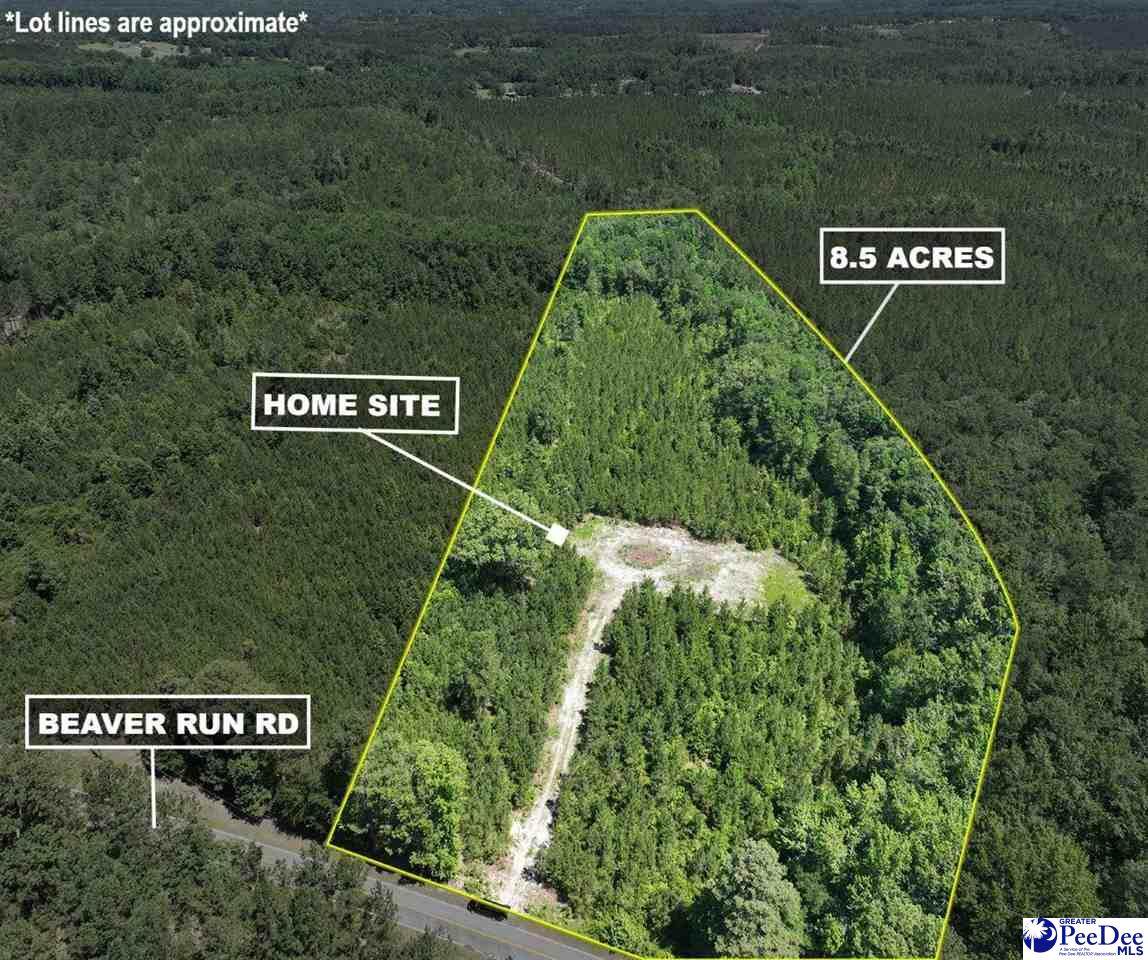 878 Beaver Run Rd - Photo 1