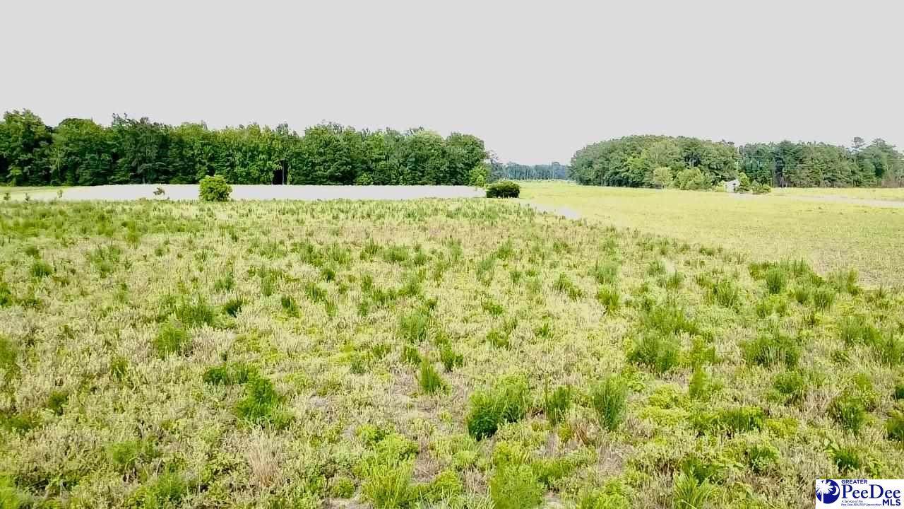 1914 Old Georgetown Rd - Photo 1