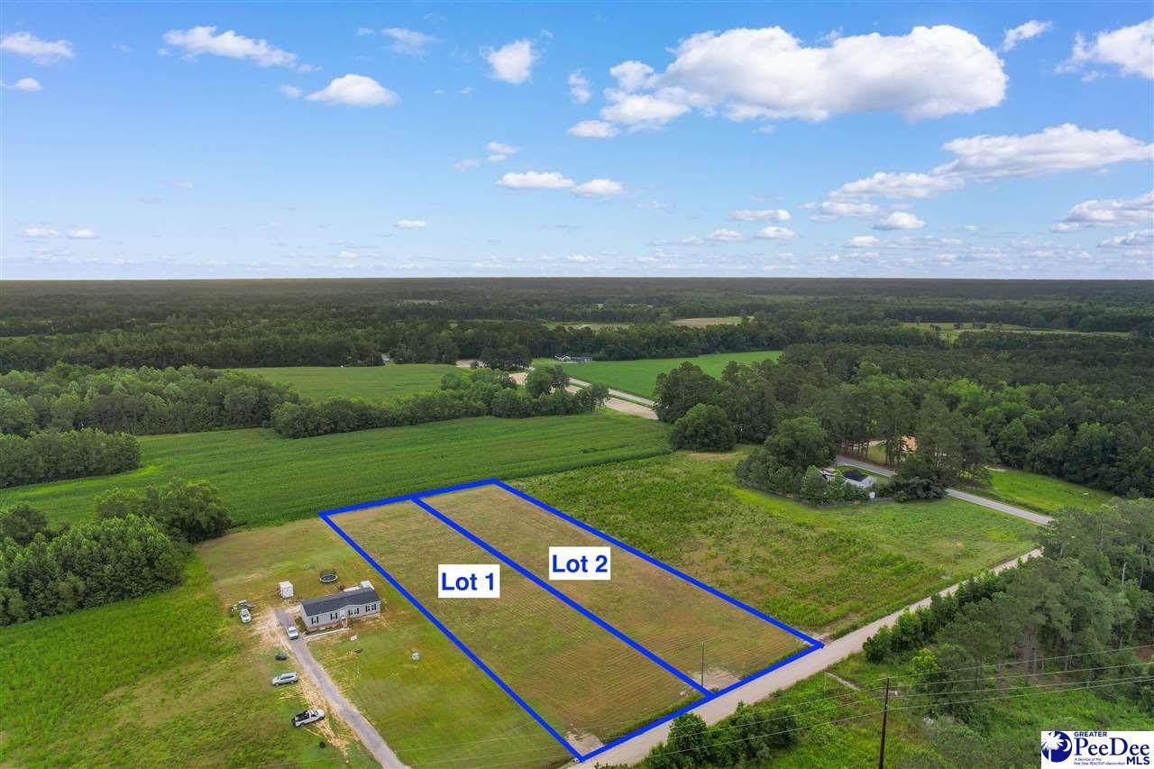 Lot A Tbd Pleasant Veiw Church Road - Photo 1