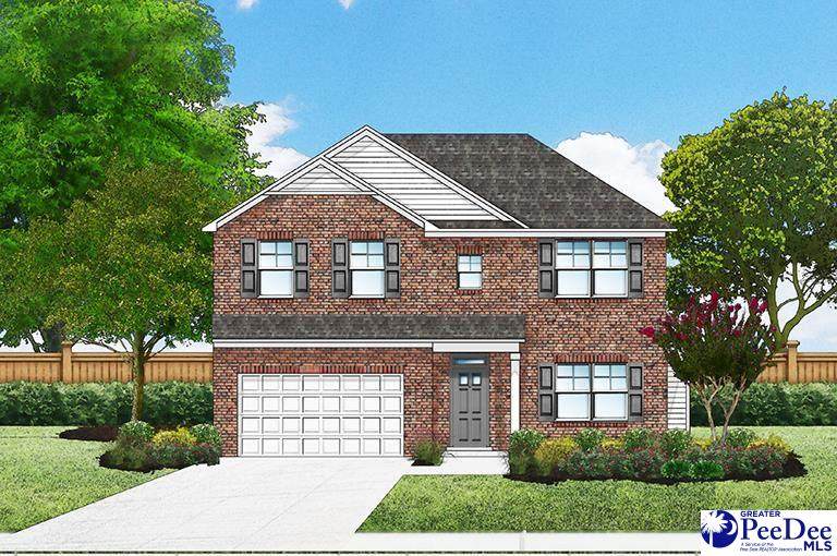 1228 Summer Duck Loop (Lot 8) - Photo 1