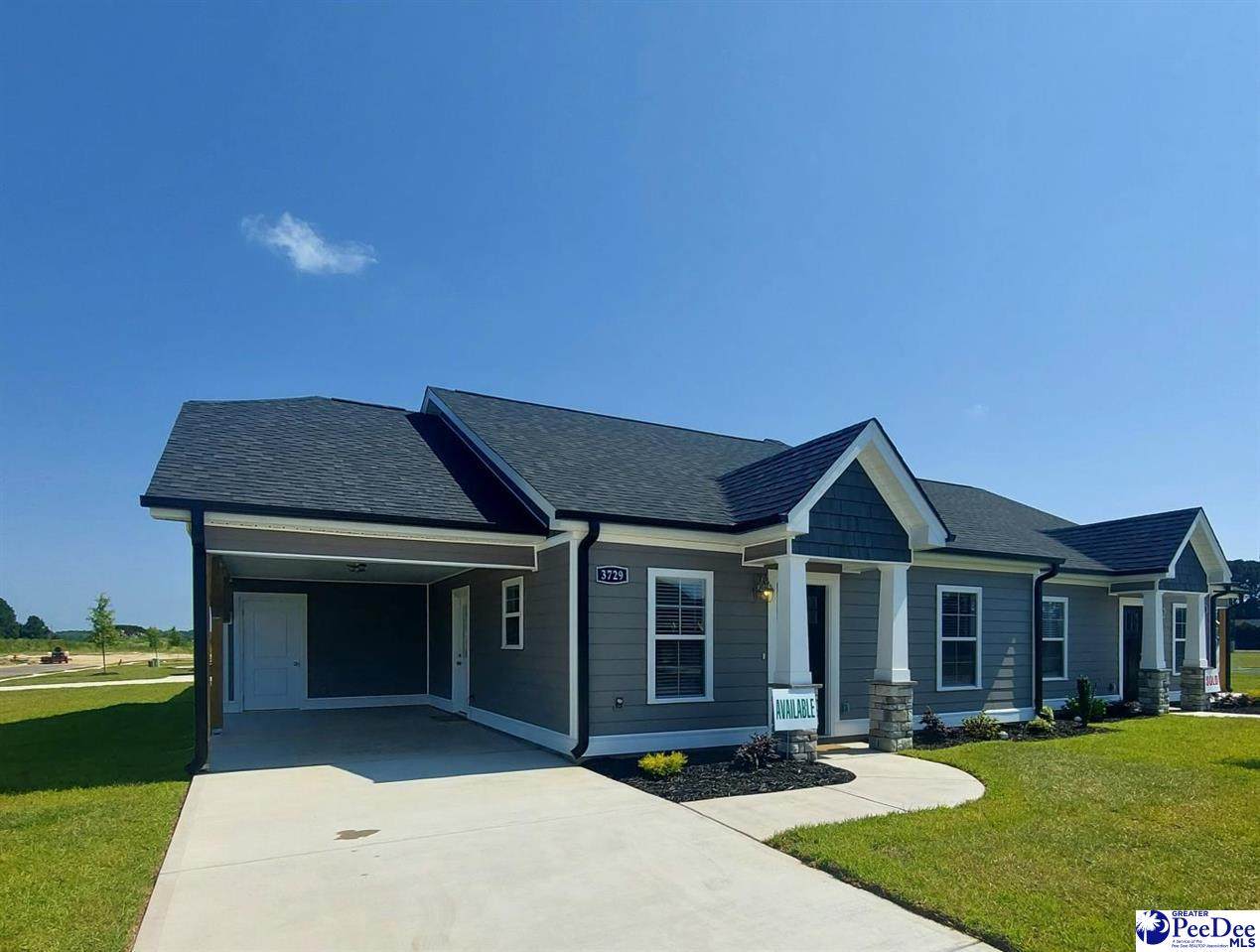 3729 Arabella Drive - Photo 1