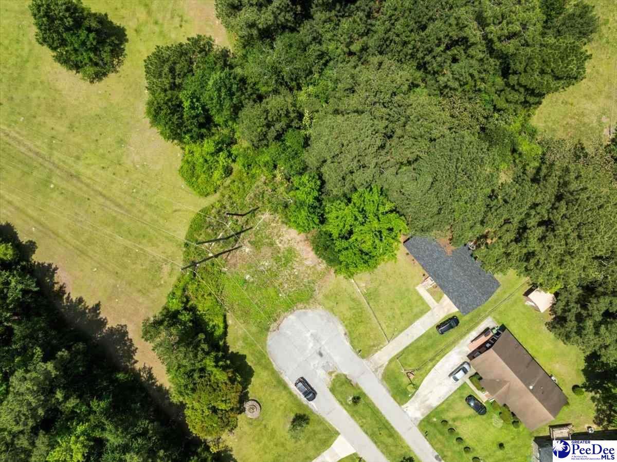 311 Williams Boulevard - Photo 1