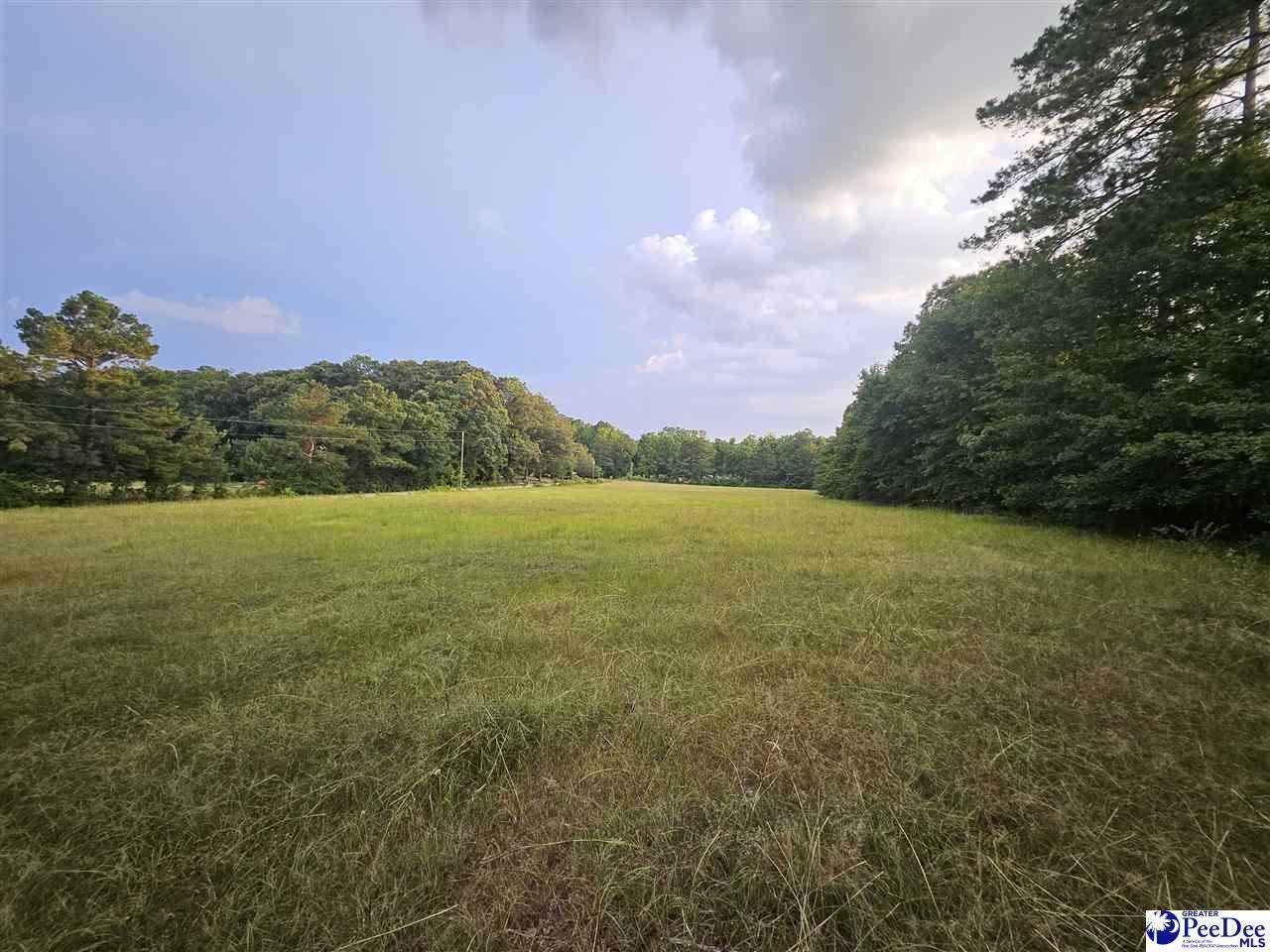 0000 Morrison Rd - Photo 1