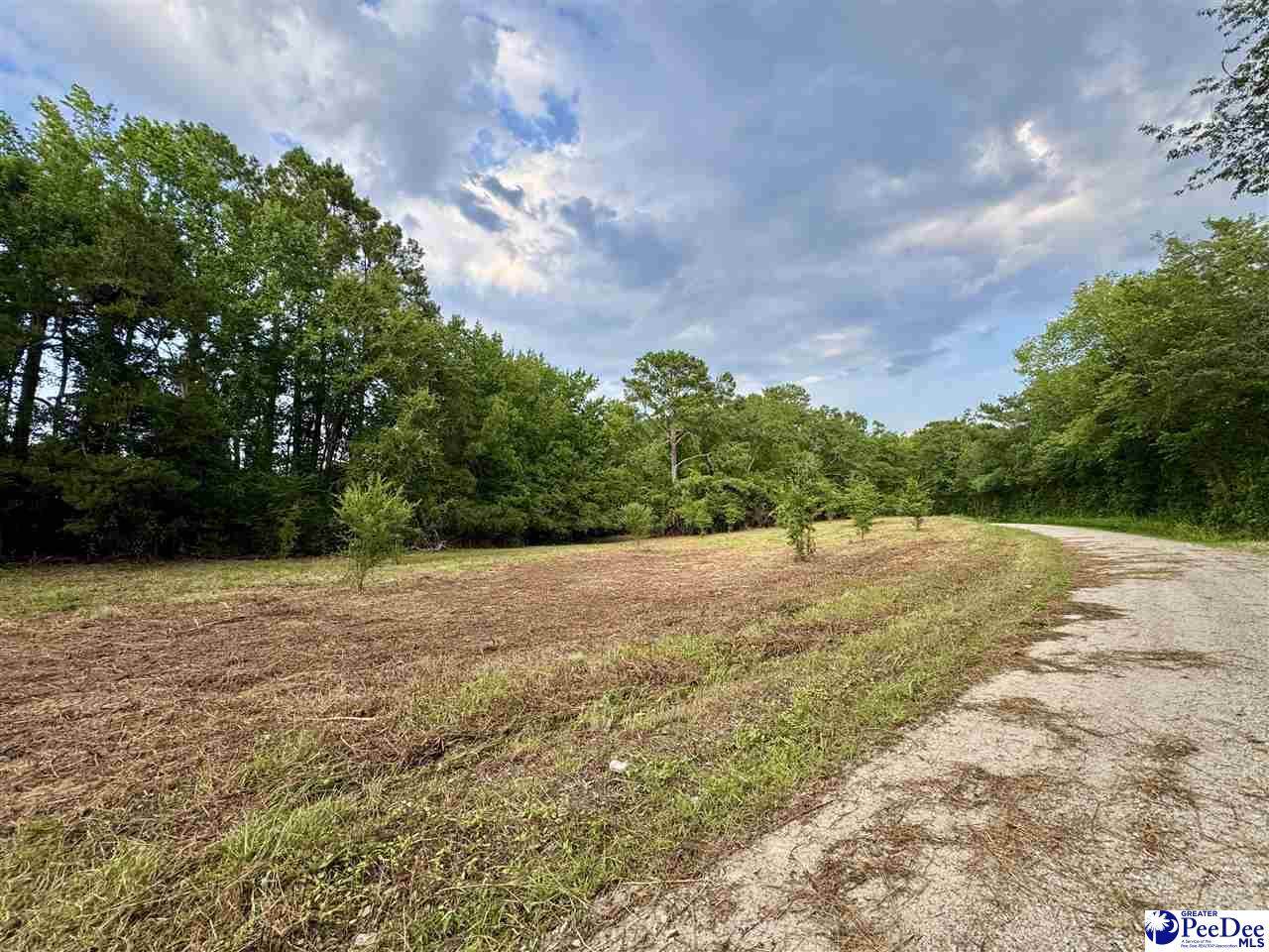 3.40 +/- Freeman Loop Road - Photo 1