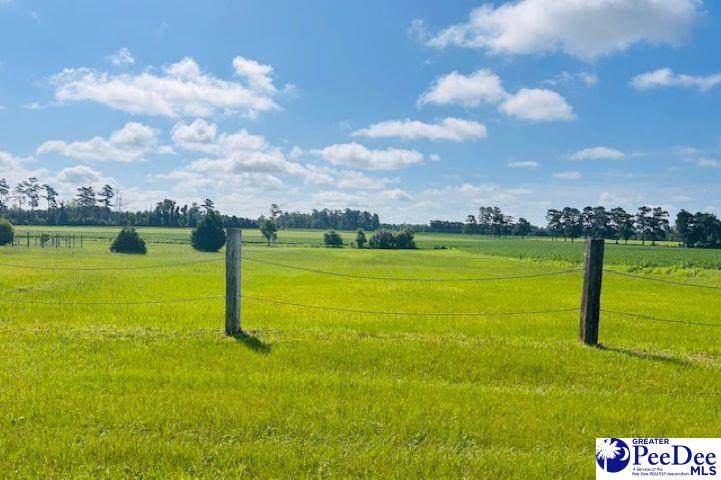 TBD Bud Graham Road - Photo 1