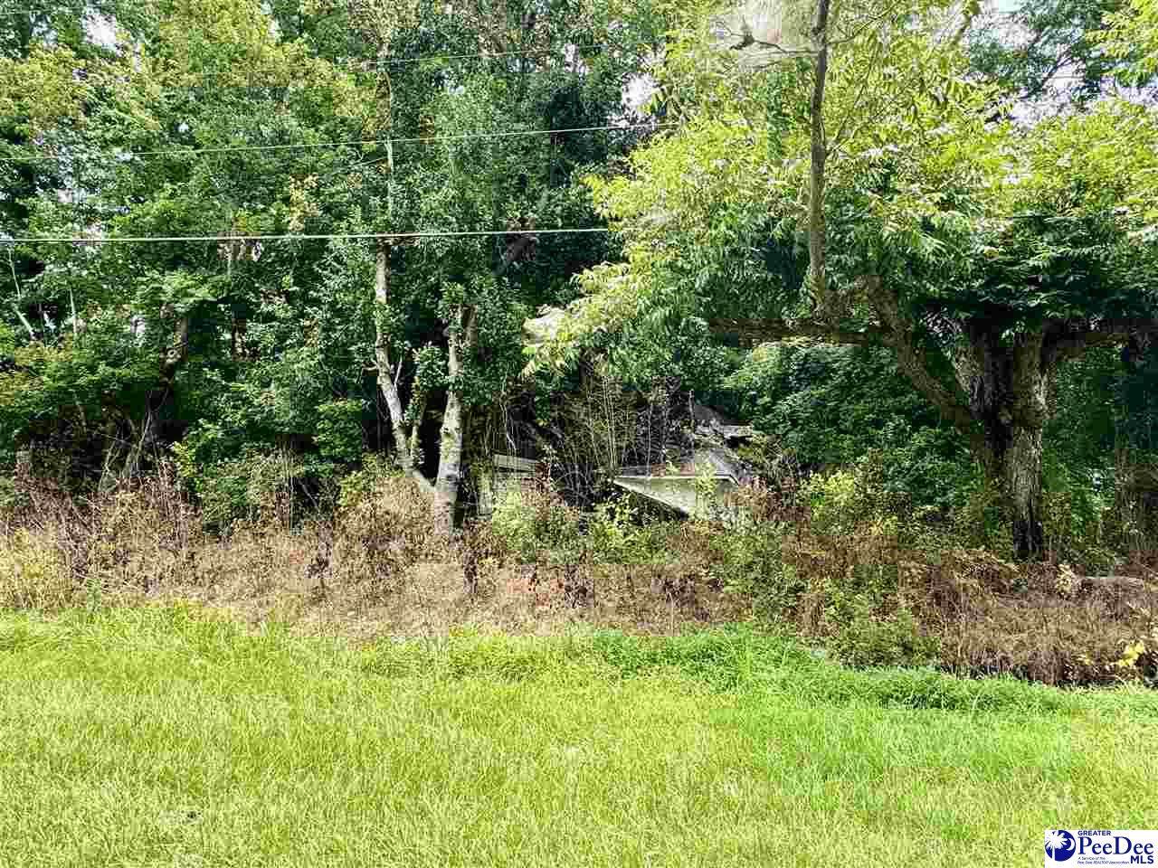 TBD Highway 41A - Photo 1
