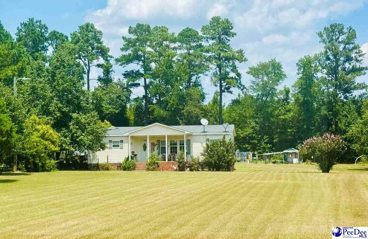 1029 Family Farm Rd - Photo 1
