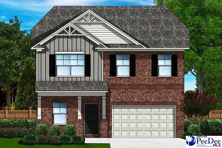 3710 Sunflower Bluff Drive (Lot 74) - Photo 1