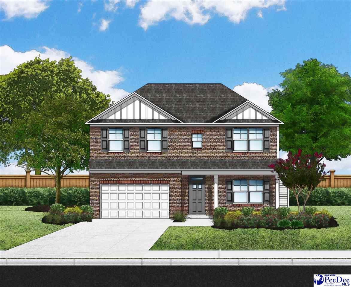 1162 Summer Duck Loop (Lot 25) - Photo 1