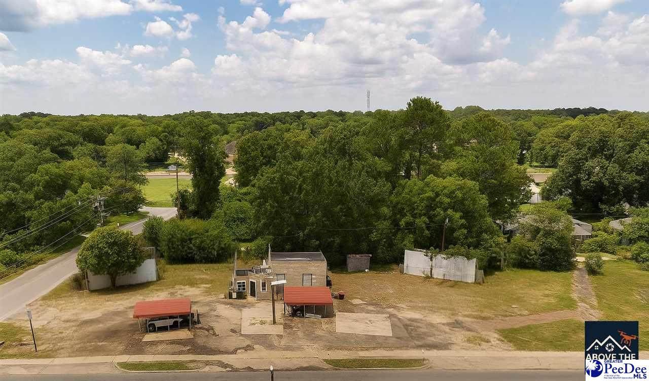 710 Hwy 301 - Photo 1