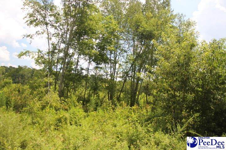 224 Sweeney Rd - Photo 1