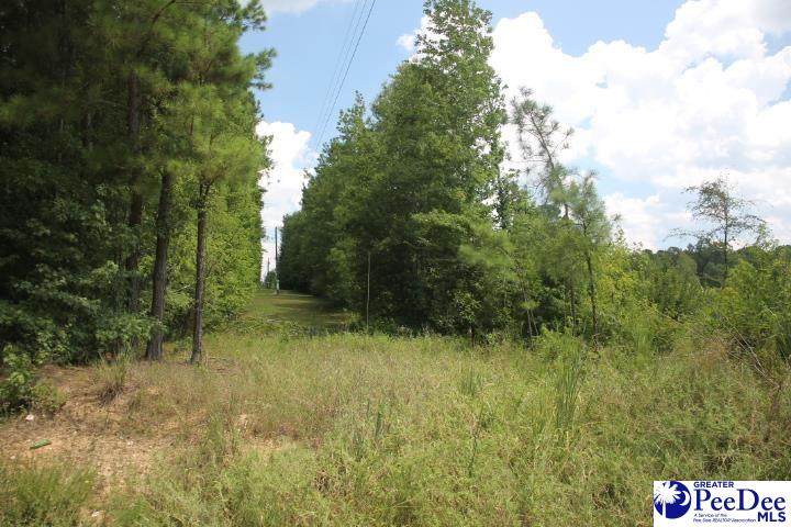 TBD 3 Sweeney Rd - Photo 1