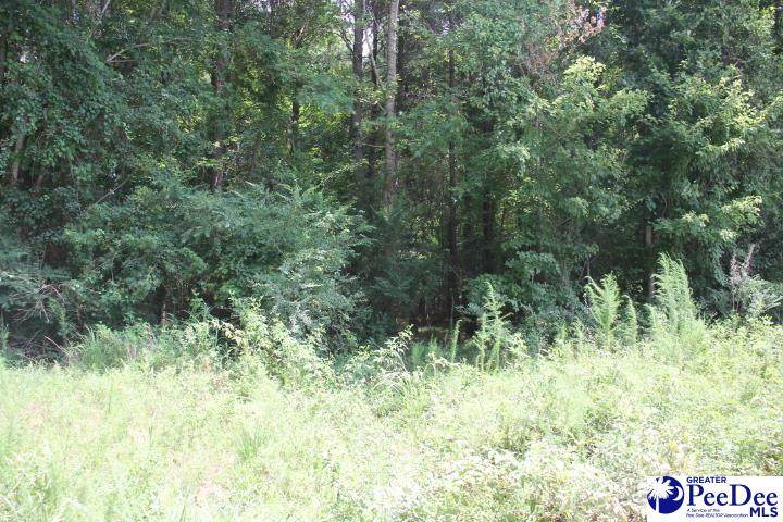 TBD 2 Hwy 145 N - Photo 1