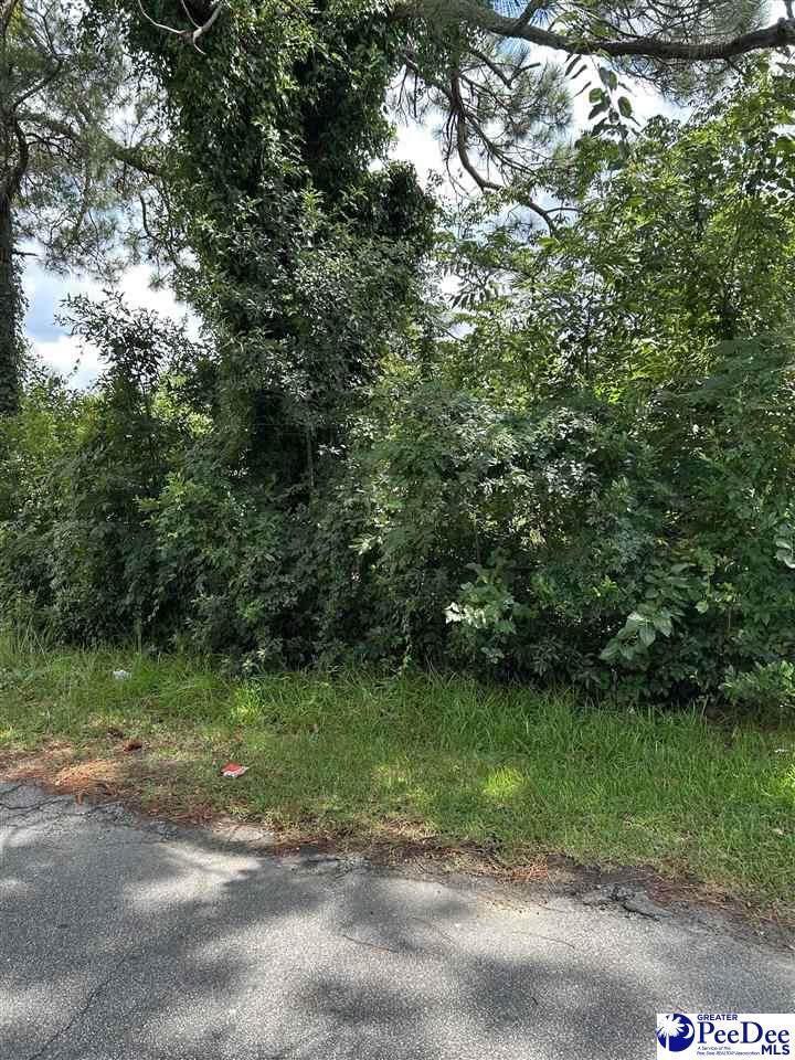 709 Ingram St - Photo 1