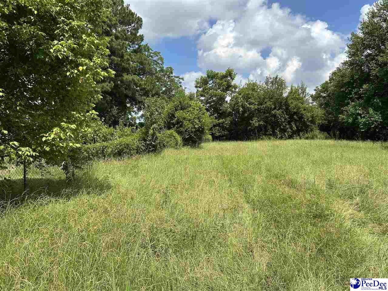 102 Holloway Cr - Photo 1