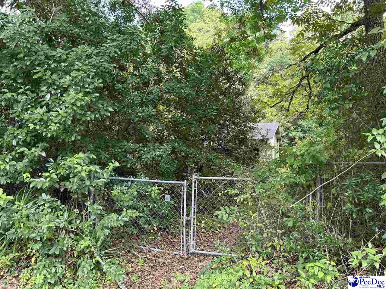 110 Heard St - Photo 1