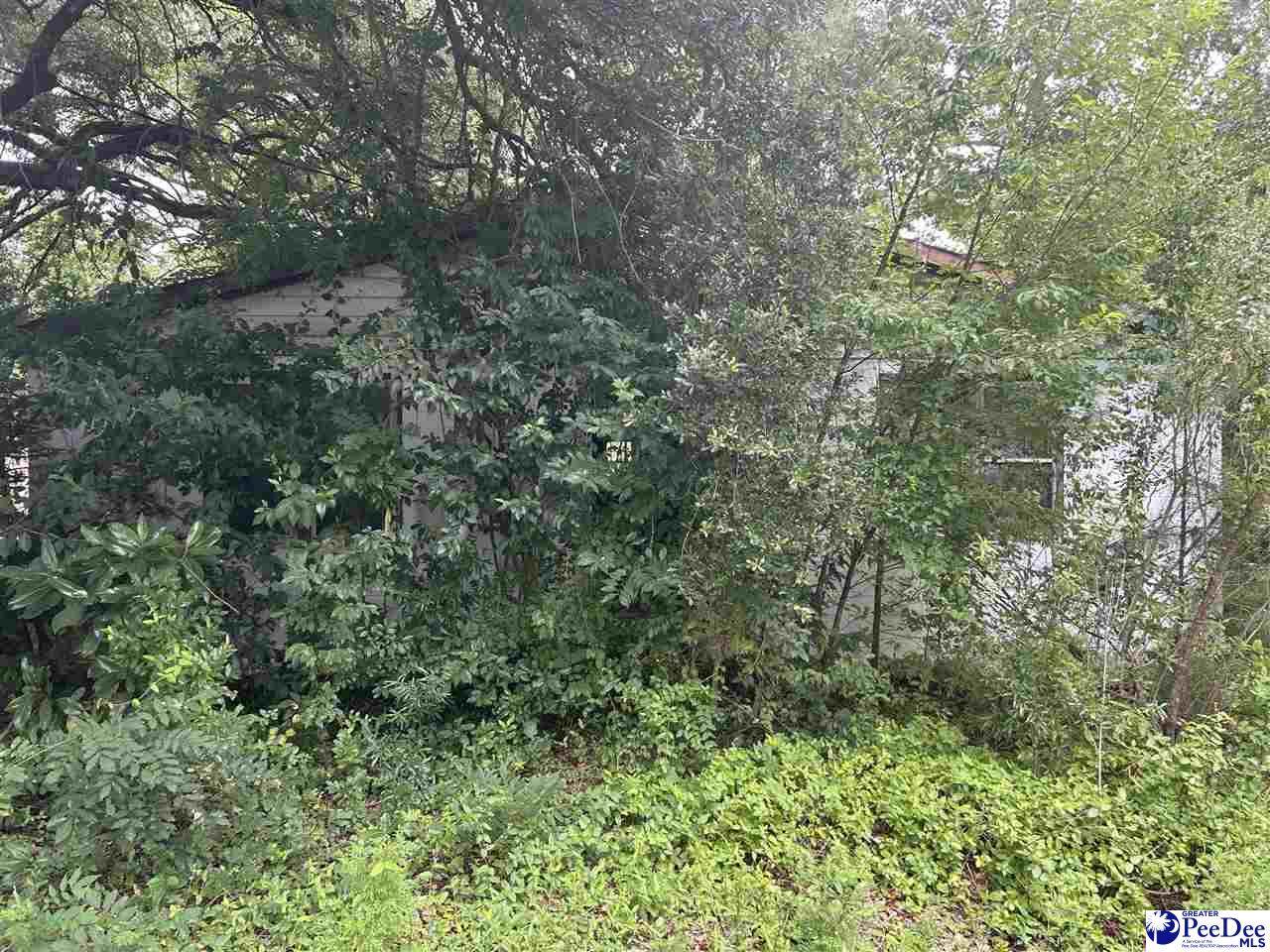 439 Keith St - Photo 1