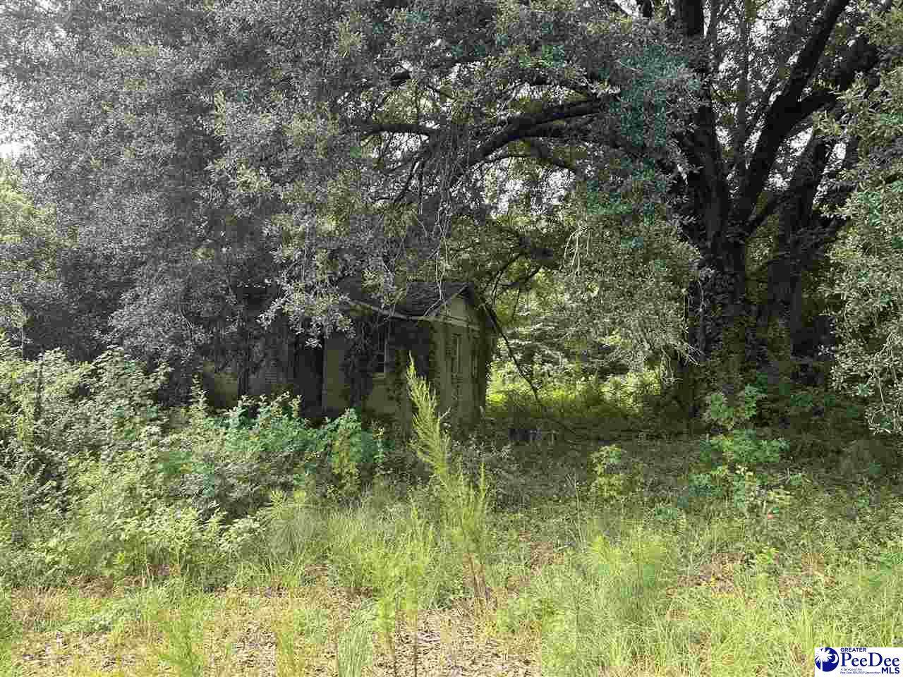 166 Wilbur Ct - Photo 1