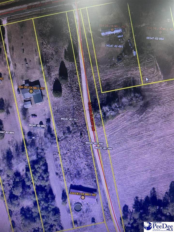 510 Delta Mills Rd - Photo 1