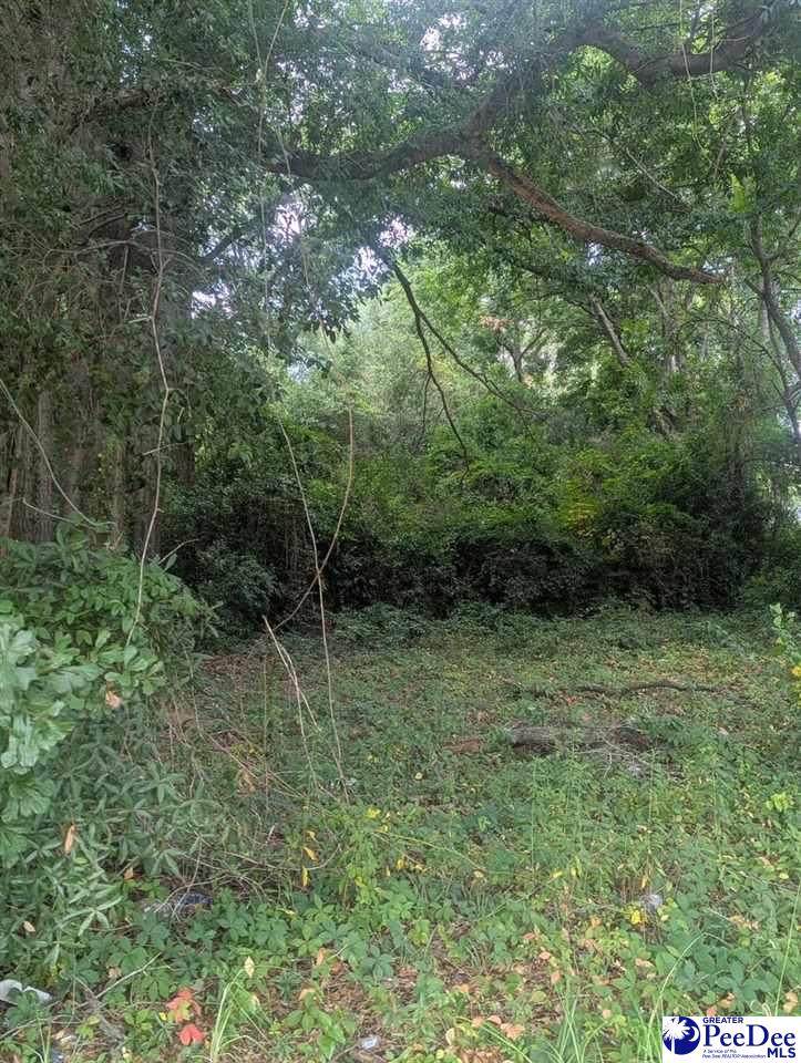 407 Sumter - Photo 1