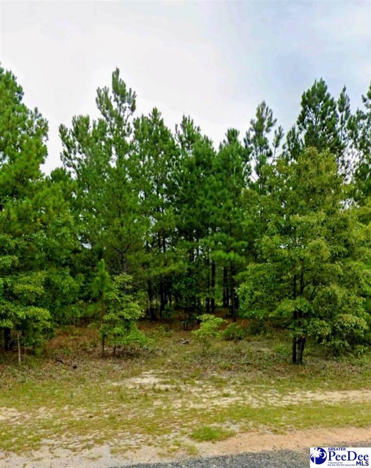 Lot 24 S Timberlake Ln - Photo 1