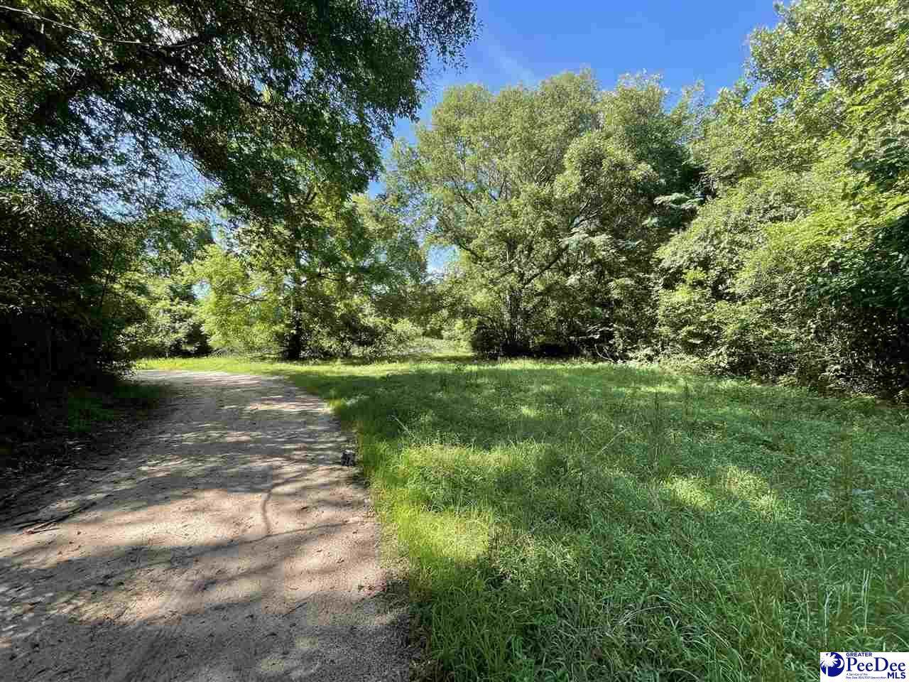 52 2nd Avenue - Photo 1