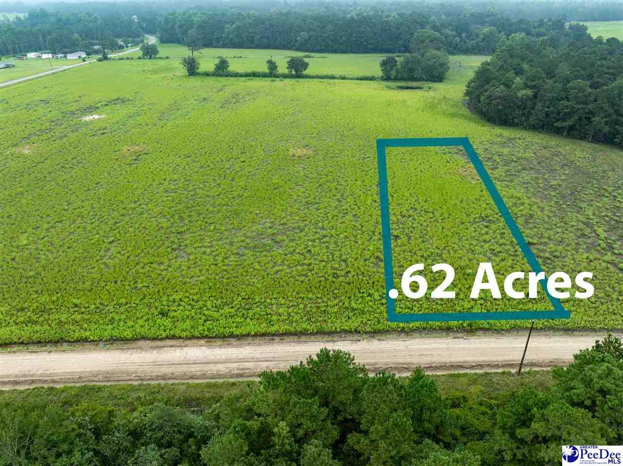 Lot 3 Tansy Rd - Photo 1