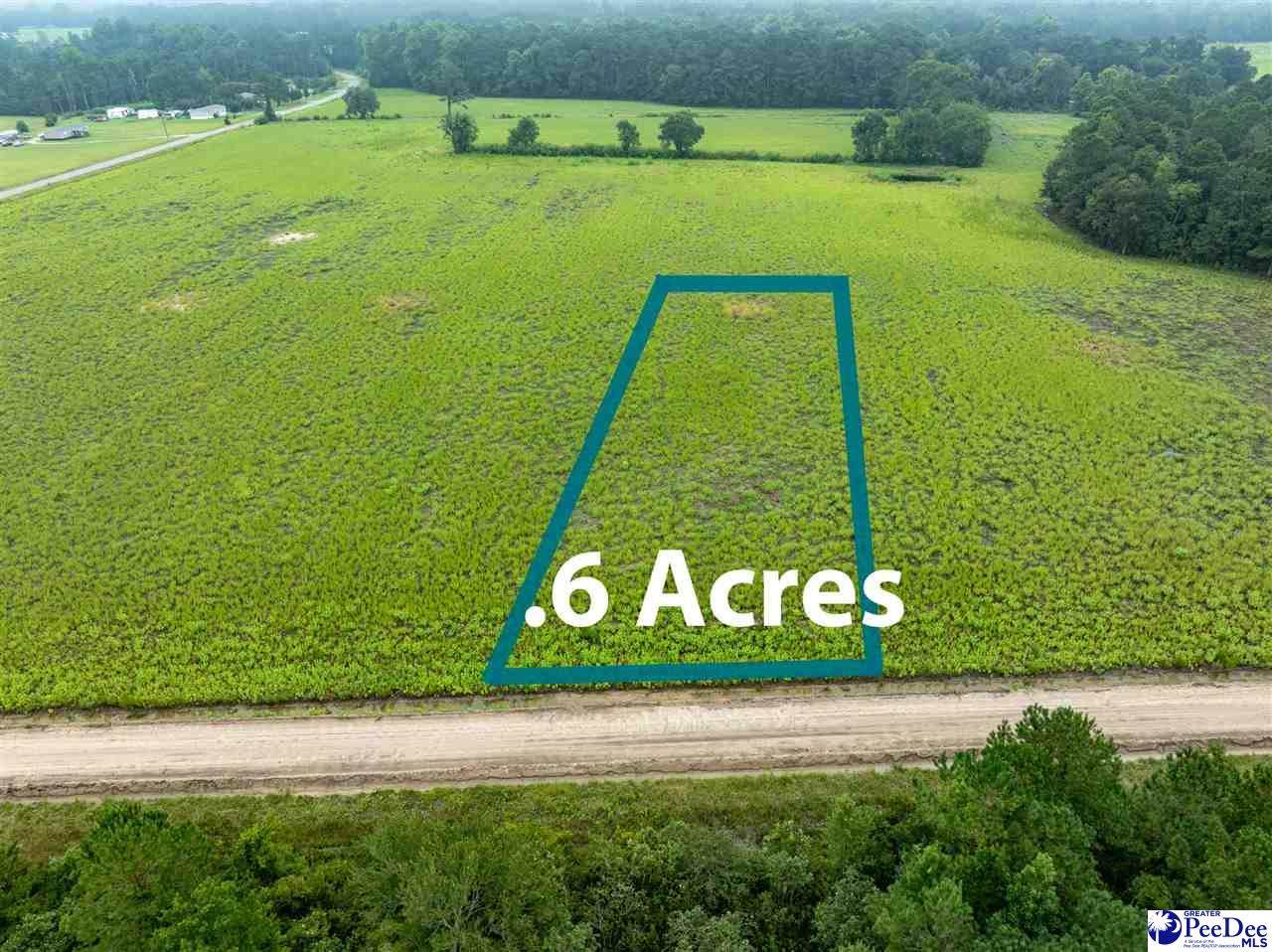 Lot 4 Tansy Rd - Photo 1