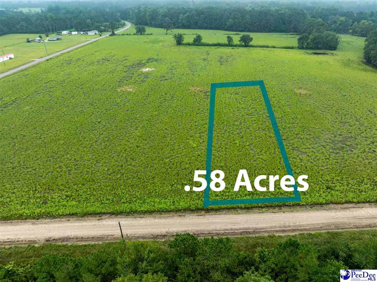 Lot 6 Tansy Rd - Photo 1