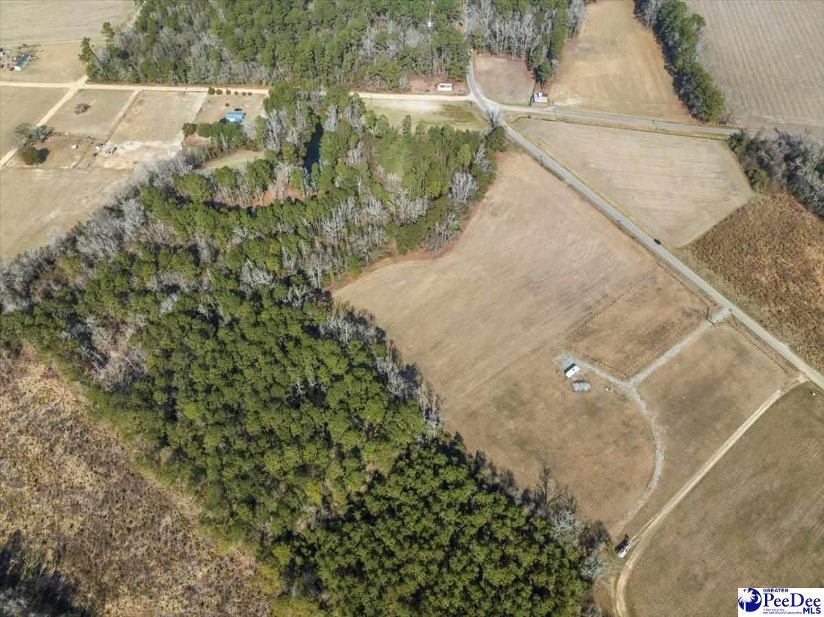 Tract 2 Kemper Church Rd. - Photo 1