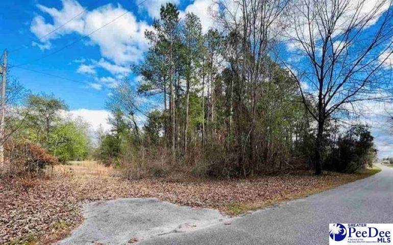 Lot 37 Berry Road - Photo 1