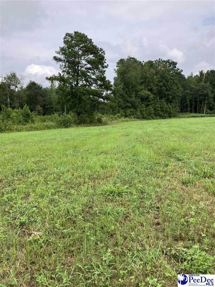 140 Pinkney Rd. - Photo 1