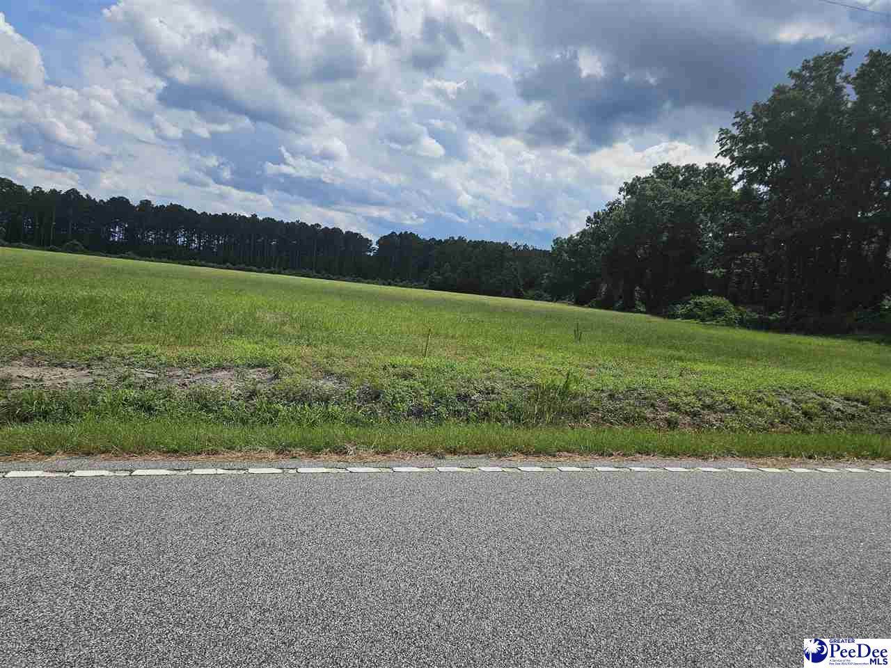 Lot 3,4,8 Sunset Drive - Photo 1