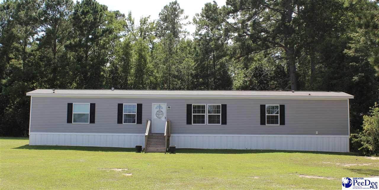 1406 Hobbs Drive - Photo 1