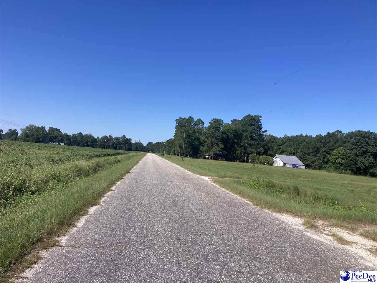  Lone Home Drive - Photo 1