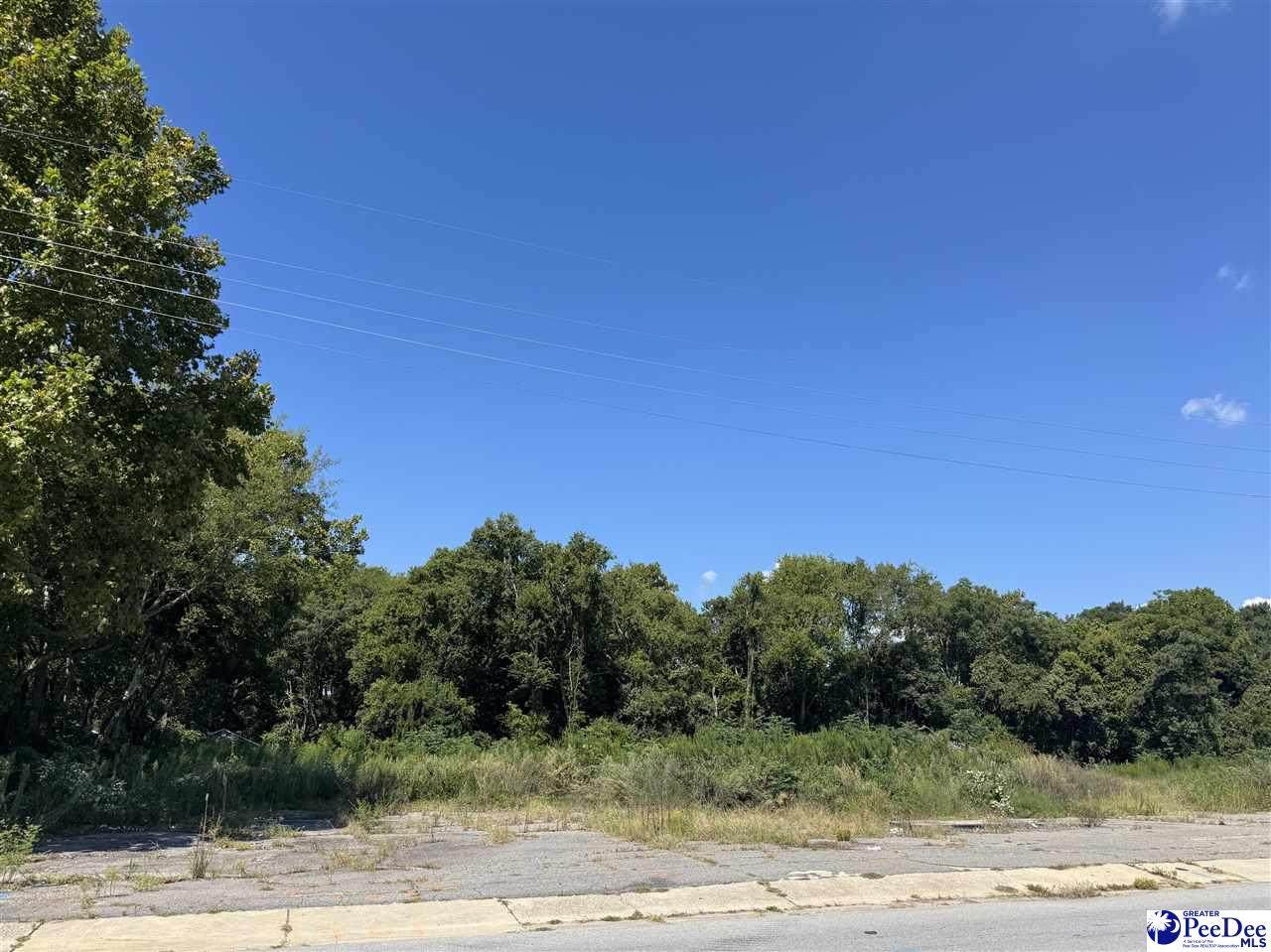 635 Coit St. - Photo 1