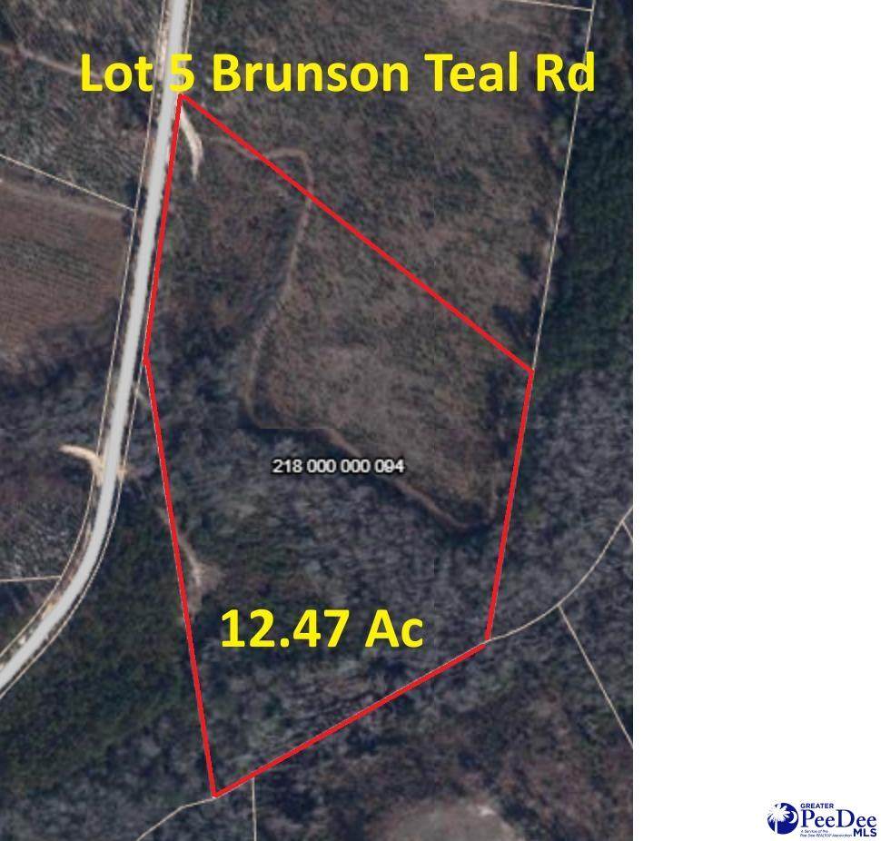 BFF5 Brunson Teal Rd - Photo 1
