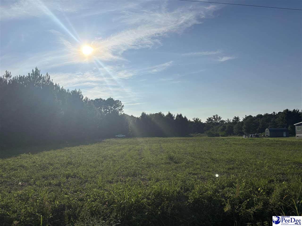 1111 Marion Church Rd. - Photo 1