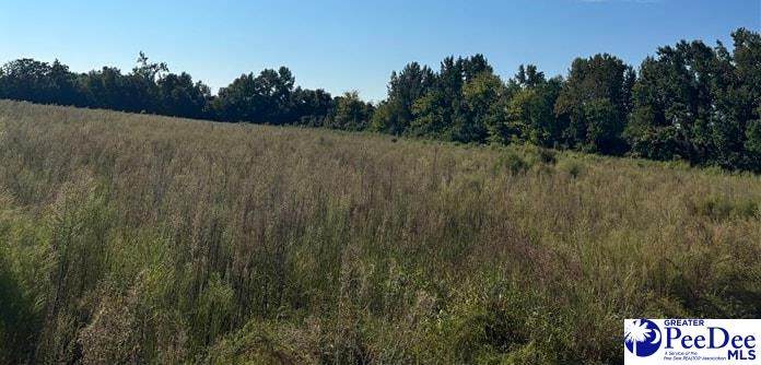 TBD National Cemetary Rd - Photo 1