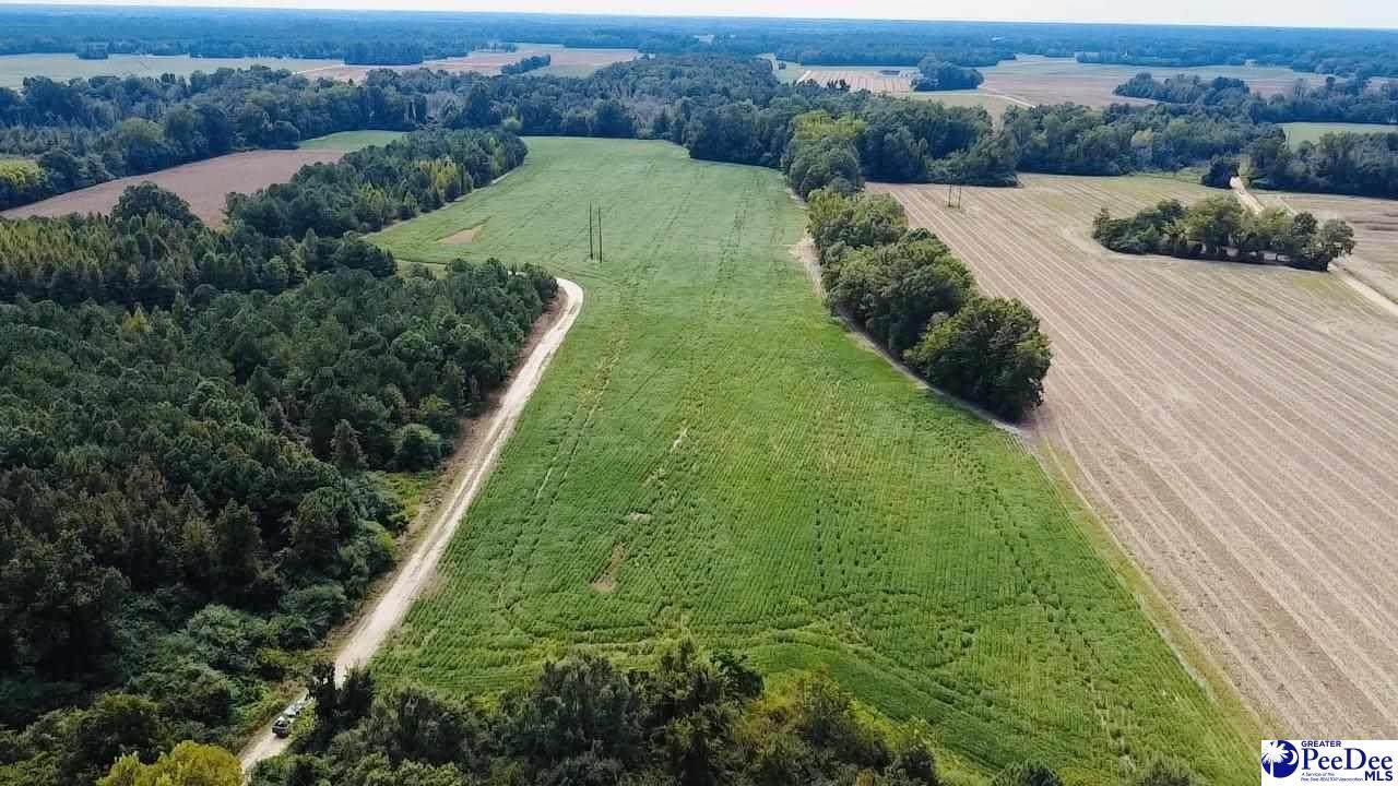 TBD Tobacco Land Rd - Photo 1