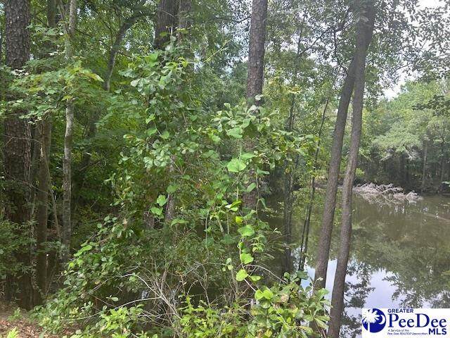 000 Manantiel Rd - Photo 1