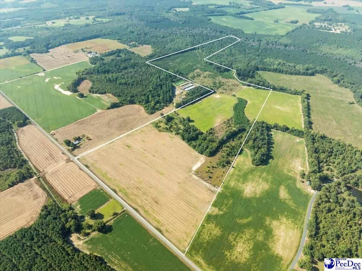 TBD Hwy 385 - Photo 1