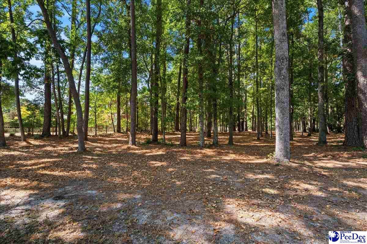 TBD Cypress Bend Road - Photo 1